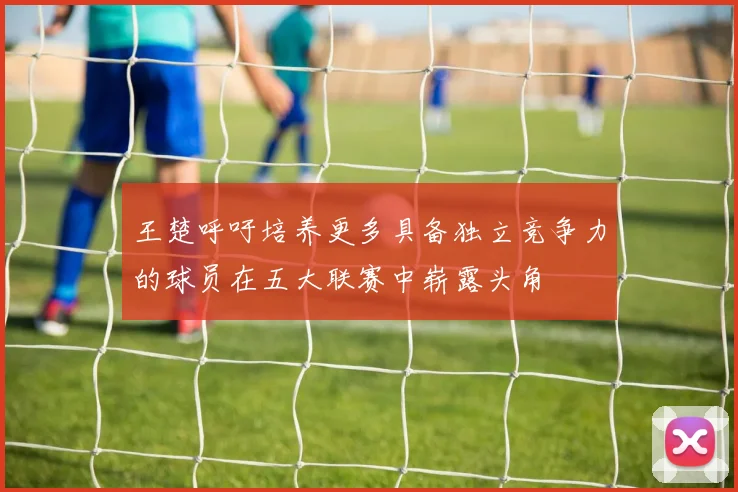 王楚呼吁培养更多具备独立竞争力的球员在五大联赛中崭露头角