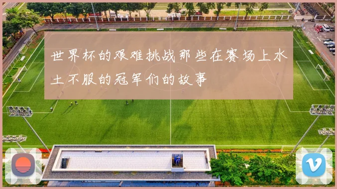 世界杯的艰难挑战那些在赛场上水土不服的冠军们的故事