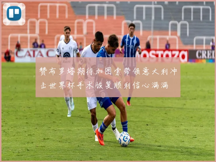 赞布罗塔期待加图索带领意大利冲击世界杯手术恢复顺利信心满满